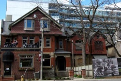 Bar Wellington  pet friendly restaurant in Toronto Canada, dogs allowed restaurants in Toronto Canada