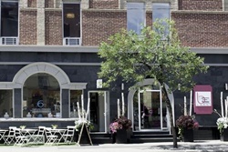 bE Sixfifty hotel pet friendly hotel in Toronto, Canada; hotels dogs allowed Toronto Canada