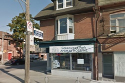 Greenwood Park Animal Hospital, vet in Toronto, veterinarians in Toronto Canada