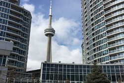 Harbor View Downtown Apartment, pets allowed rentals in Toronto, dog friendly vacation rentals in Toronto Ontario Canada