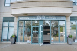 Kew Beach Veterinary Hospital, vet in Toronto, veterinarians in Toronto Canada