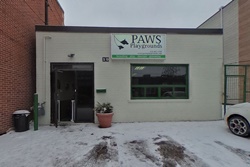 moore specialty pet care pet friendly banff dog friendly alberta canada dog boarding and grooming