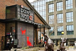 Pawsway  pet friendly restaurant in Toronto Canada, dogs allowed restaurants in Toronto Canada