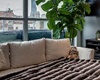 Penthouse with Unobstructed City Views, pets allowed rentals in Toronto, dog friendly vacation rentals in Toronto Ontario Canada