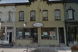Queen West Animal Hospital, vet in Toronto, veterinarians in Toronto Canada