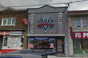 vet in Toronto Canada, veterinarian in Toronto Canada