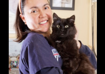 vet in Toronto Canada, veterinarian in Toronto Canada