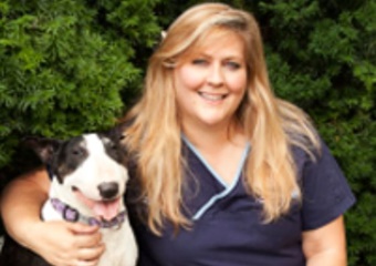 vet in Toronto Canada, veterinarian in Toronto Canada