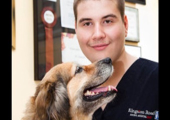 vet in Toronto Canada, veterinarian in Toronto Canada