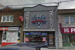 vet in Toronto Canada, veterinarian in Toronto Canada